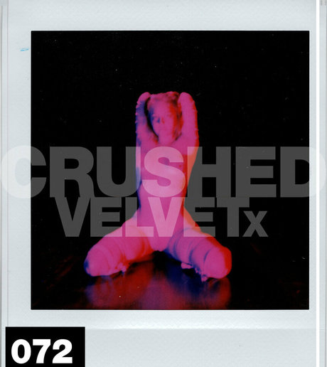 Crushedvelvetx