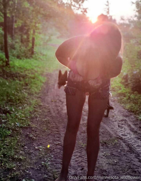 Minnesota_wildflower