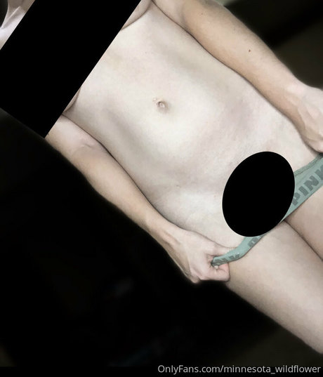 Minnesota_wildflower