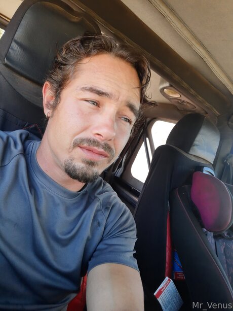 Mr Venus