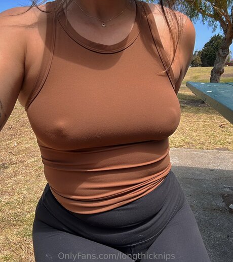 Longthicknips