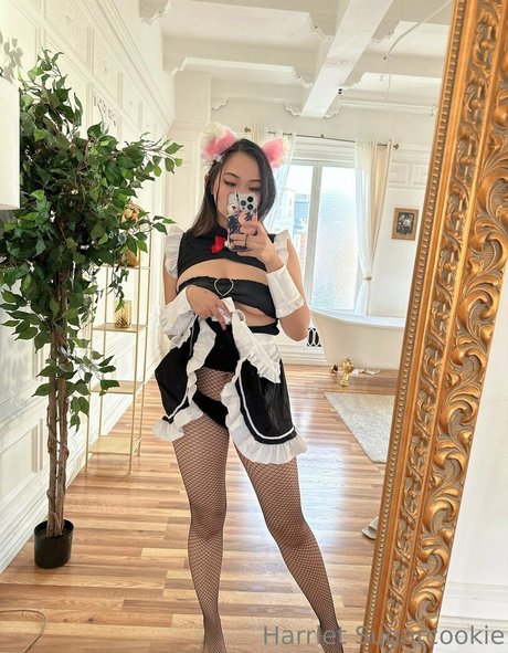 Harriet Sugarcookie OnlyFans 유출 누드 사진