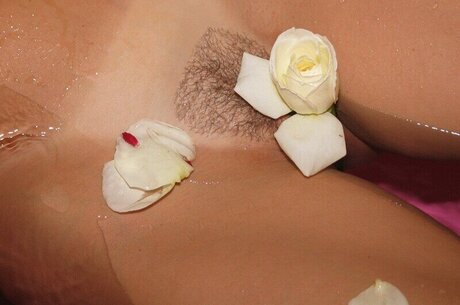 Southern-Charms Reese