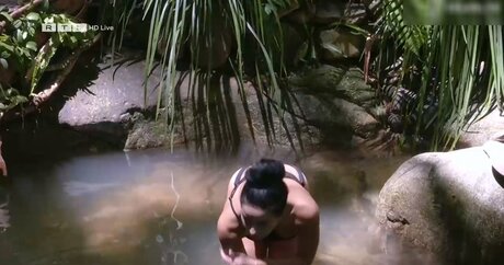 Ich bin ein Star – Holt mich hier raus!