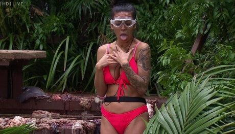 Ich Bin Ein Star  Holt Mich Hier Raus