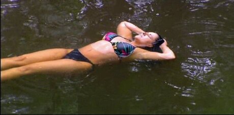 Ich bin ein Star – Holt mich hier raus!