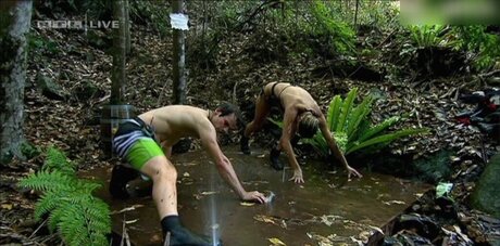 Ich bin ein Star – Holt mich hier raus!