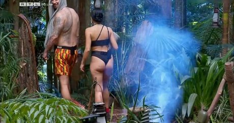 Ich bin ein Star – Holt mich hier raus!