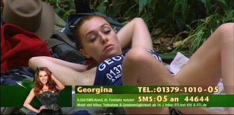 Ich bin ein Star – Holt mich hier raus!