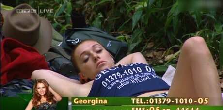 Ich bin ein Star – Holt mich hier raus!