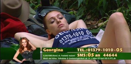 Ich bin ein Star – Holt mich hier raus!