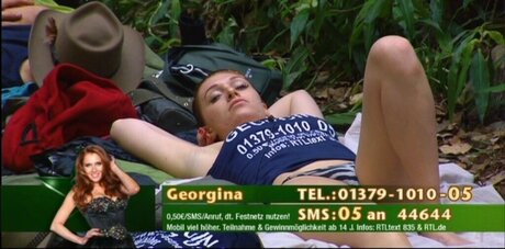 Ich bin ein Star – Holt mich hier raus!