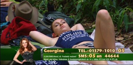 Ich bin ein Star – Holt mich hier raus!