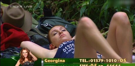 Ich bin ein Star – Holt mich hier raus!