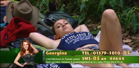 Ich bin ein Star – Holt mich hier raus!