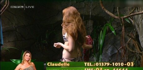 Ich bin ein Star – Holt mich hier raus!