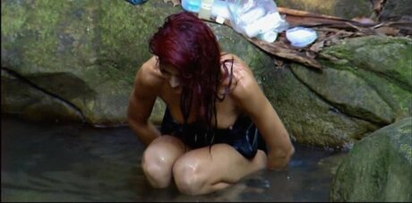 Ich bin ein Star – Holt mich hier raus!