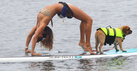 OOPS!!! International