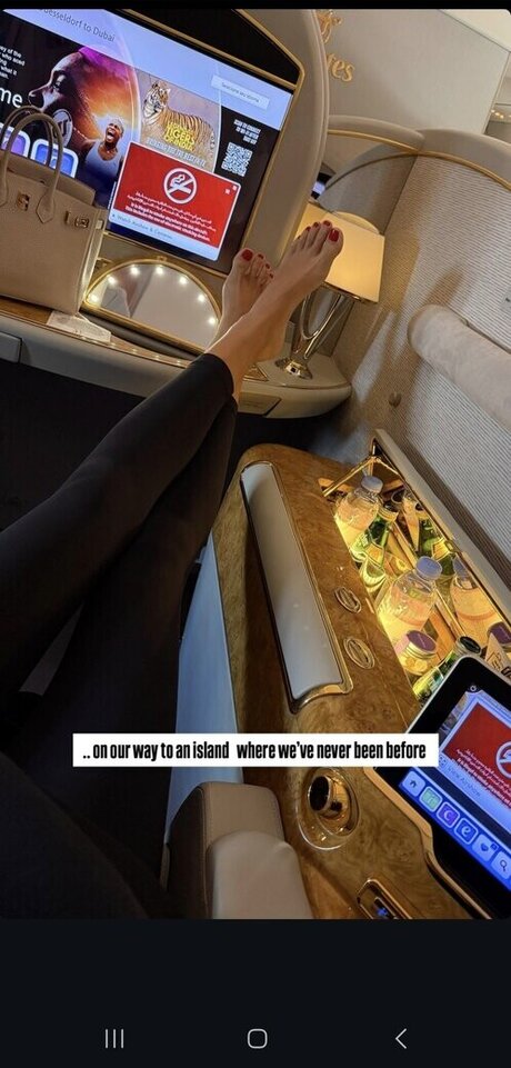 Milica Denise Umicevic