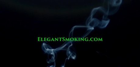 Babestation Studio66