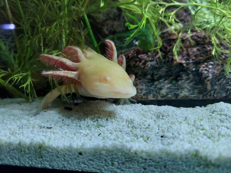 Onlyfishfans