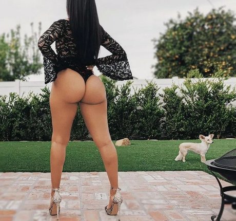 Vida Guerra