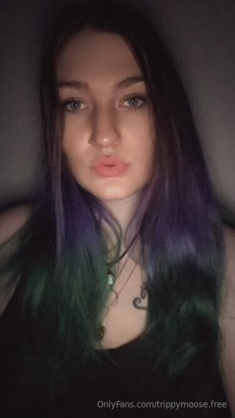 Trippymoose Free