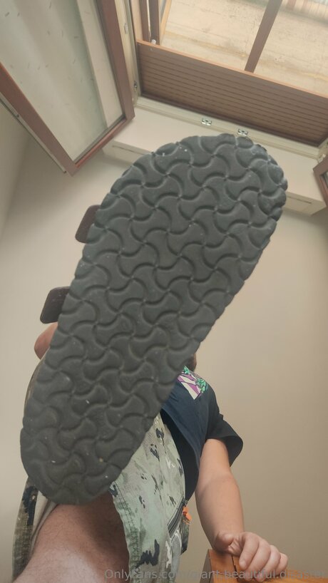 Giant Beautiful Disaster