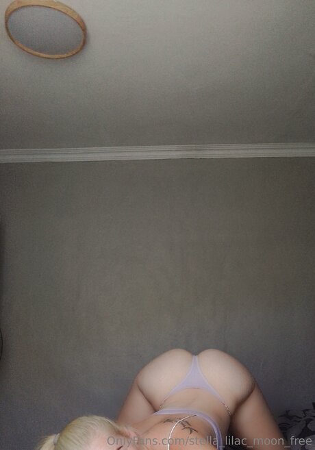 Stella Lilac Moon Free