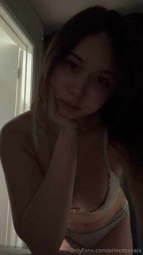 Princessnaix