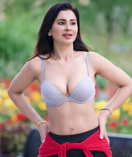 Meetii Kalher