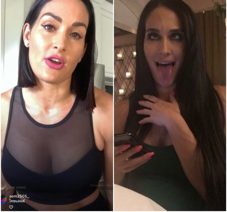 The Bella Twins: