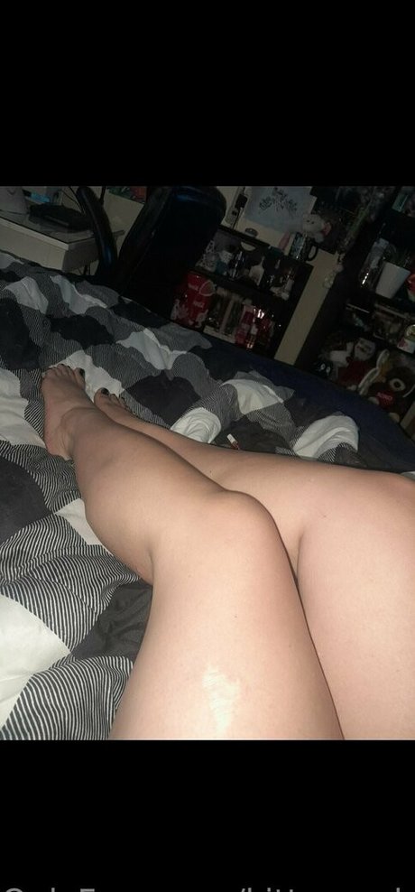 Kittenonlyfanscom