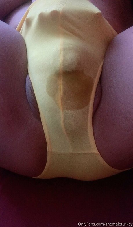 Shemaleturkey