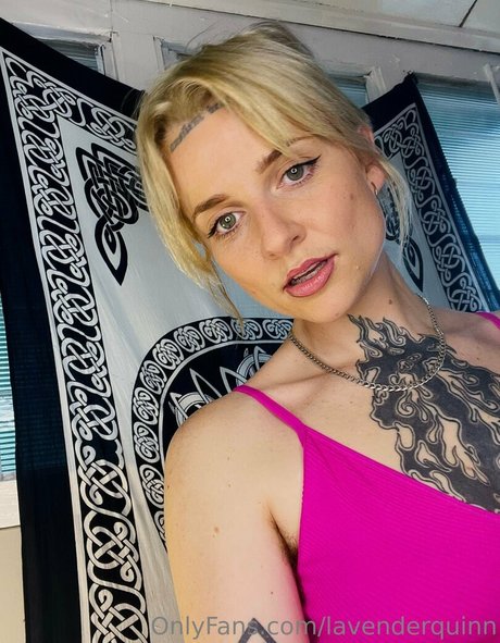 Lavenderquinn
