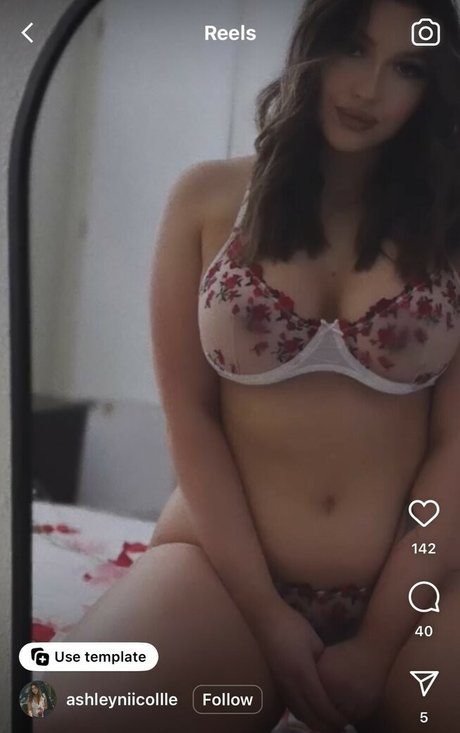 Ashley Delfino-Nikkiashh